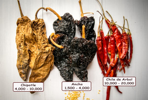 dried chili peppers chipotle ancho chile de arbol