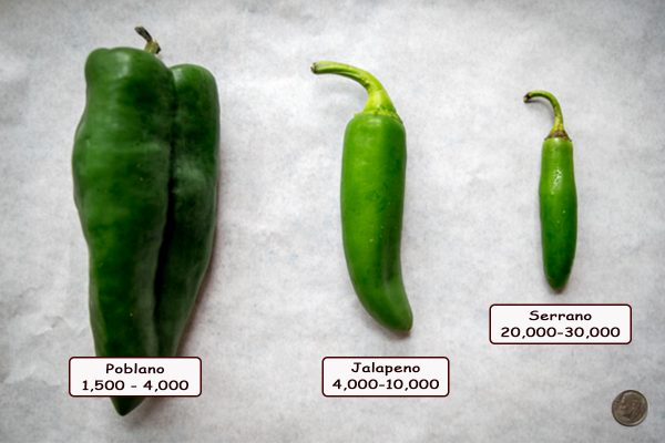 Poblano Peppers Vs Serrano