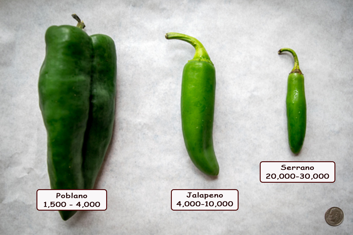 Peppers Scoville Chart