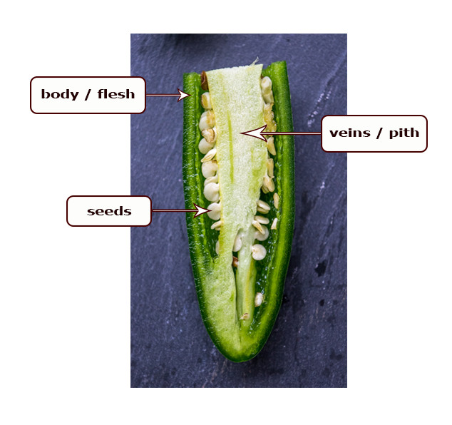 jalapeno cross section showing where capsaicin is