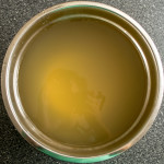 bowl of clean fresh chicken stock