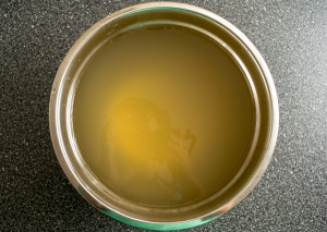bowl of clean fresh chicken stock