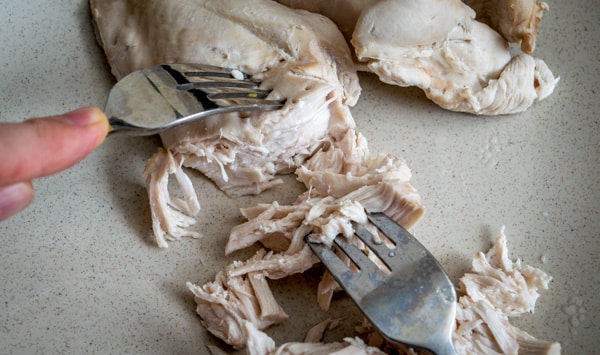 shredded poached chicken with two forks