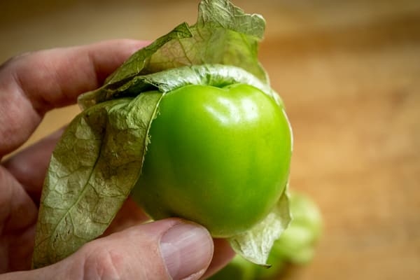 better husk opening reveal green tomatillo