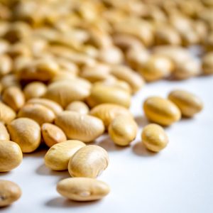 Peruano Beans (aka Canary, Mayocoba, Peruvian, Mexican Yellow Beans) mexicanplease.com