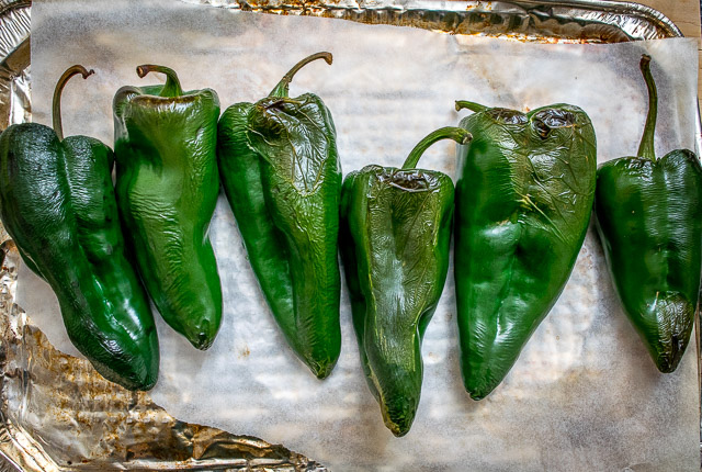 The key to this Roasted Poblano Soup is getting creative with the garnish. Crema, cilantro stems, and a dash of acidity will turn it into something otherworldly. So good! mexicanplease.com