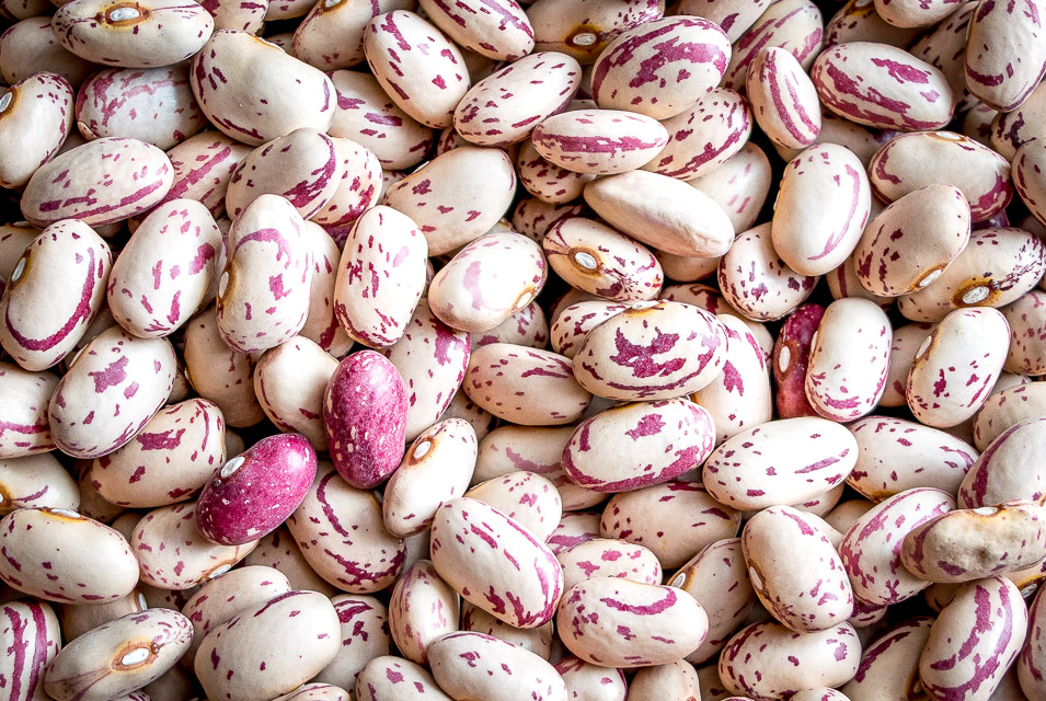 You can think of these Cranberry Beans as Pinto Beans Lite. They have a similar flavor to pintos but are creamier and slightly less 'beany'. A great option for refried beans. mexicanplease.com