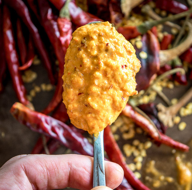 Chile de Arbols and roasted peanuts create a rich, otherworldly flavor in this delightful Peanut Chile Salsa. It's versatile too; feel free to get creative with the chili pepper combos. mexicanplease.com
