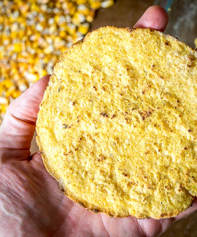 We're using fresh masa dough to make a delicious batch of homemade corn tortillas! We also added some masa harina to the dough to make it easier to work with. mexicanplease.com