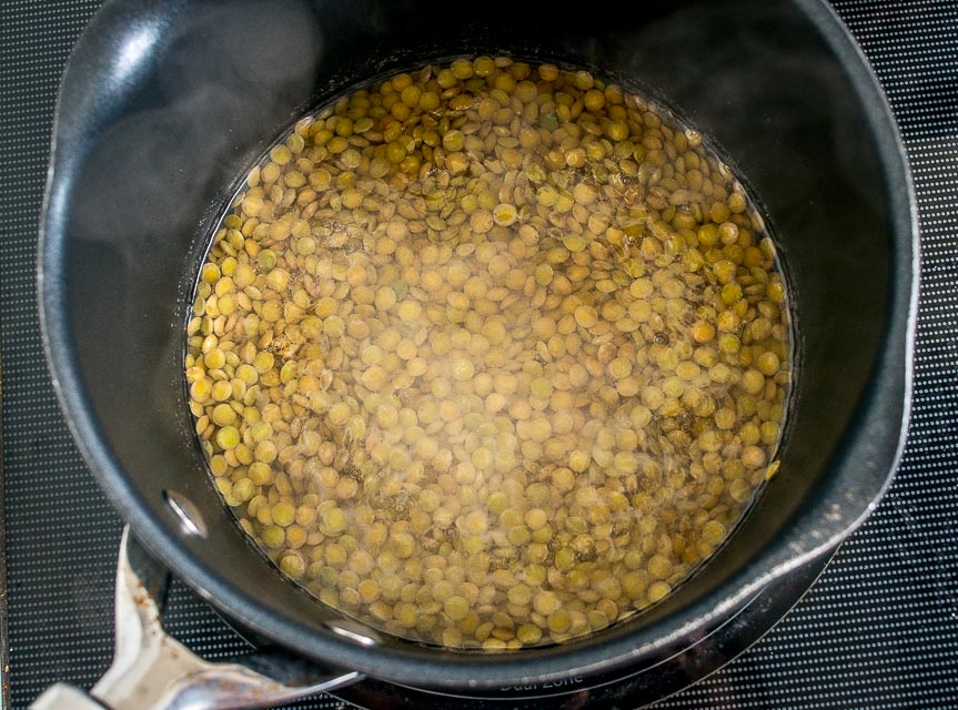 Here's an easy way to make a delicious Lentils and Rice dish. You can go easy on the chipotle if you want a milder version. We used some homemade veggie stock and it was delish! mexicanplease.com