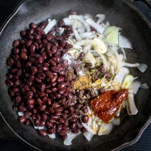 This is a delicious, fiery version of Chicken Tinga. The key is to use both tomatoes and tomatillos, along with plenty of chipotles! mexicanplease.com