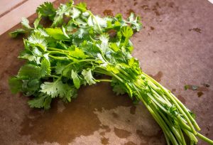 I think this is the best way to chop cilantro. Using the upper stems makes it so much easier! mexicanplease.com