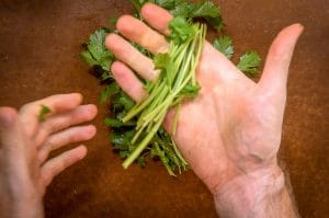I think this is the best way to chop cilantro. Using the upper stems makes it so much easier! mexicanplease.com