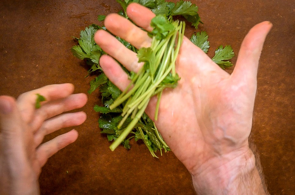 https://www.mexicanplease.com/wp-content/uploads/2018/09/how-to-chop-cilantro-twisting-off-thick-stems.jpg