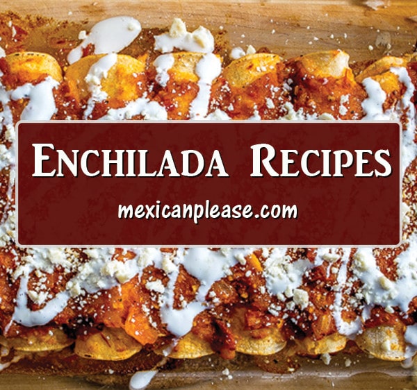 introduction to enchilada recipes