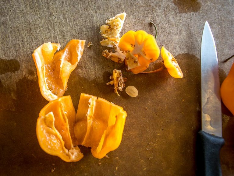 How Hot Are Habanero Peppers? Mexican Please