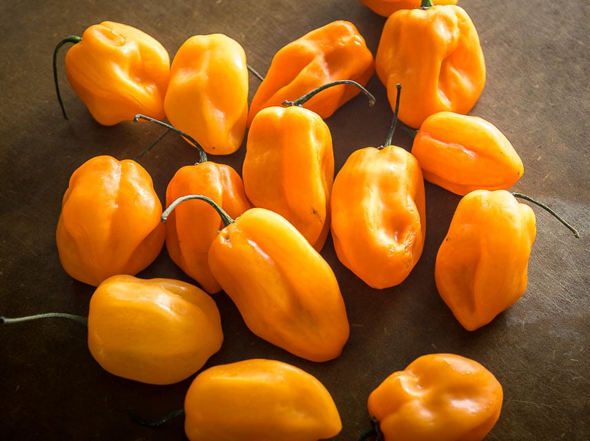 How Hot Are Habanero Peppers?