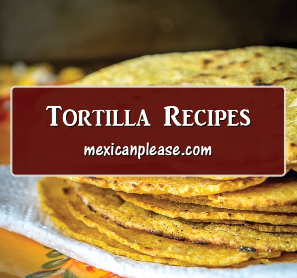 corn and flour tortilla recipes