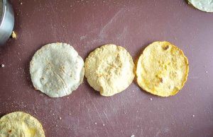 Corn tortillas made from three different masa harinas.