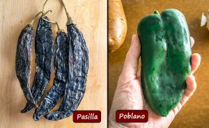 Difference between poblano and pasilla chiles