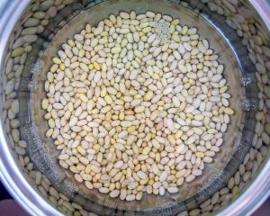 Rinsing Mayocoba beans