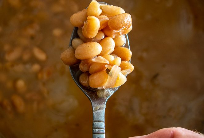 Spoonful of Mayocoba beans after cooking for two hours.