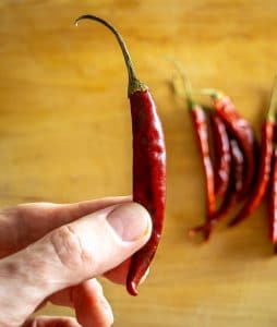 Single small Chile de Arbol