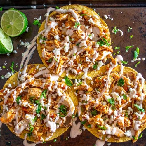Tinga Tostadas Mexican Please
