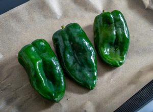 Three poblano peppers before roasting