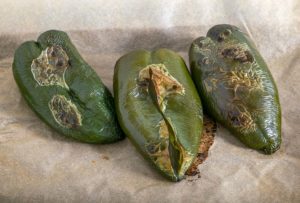 Poblano peppers after roasting for 30 minutes