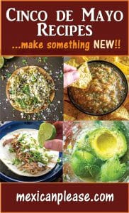 Cinco de Mayo is here!! It's the perfect opportunity to make something NEW and different. Here are 17 choices for instant YUMS!! mexicanplease.com