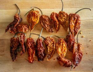 Dried Bhut Jolokia chile peppers