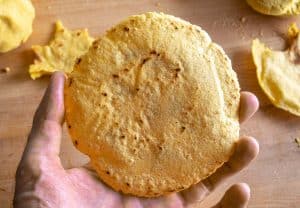 Corn tortilla just after cooking