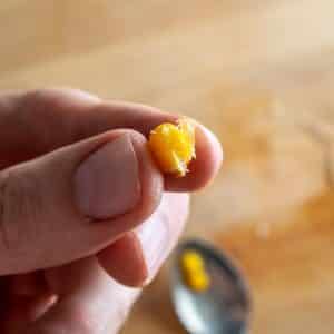 Single kernel of popcorn after simmering in Cal Mexicana