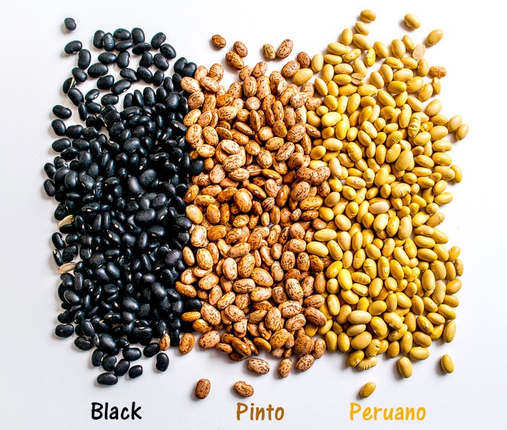 Photo showing Black, Pinto, and Peruano beans