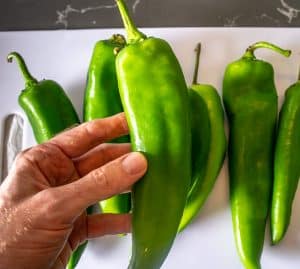 Got Hatch Chiles laying around? You can easily whip up a delicious Hatch Chile Soup for some quick meals. But consider yourself warned, this soup is spicy!