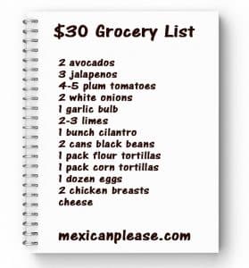 $30 Grocery List for College Students