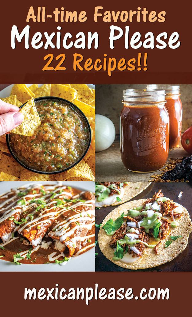 These are my all-time favorite recipes on Mexican Please and they are the ones I make most often. If you're new to any of them please consider giving them a go! There are 22 options in this list and they are all the real deal -- I hope you find some keepers!