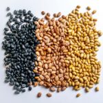 Three bean varieties black, pinto, peruano