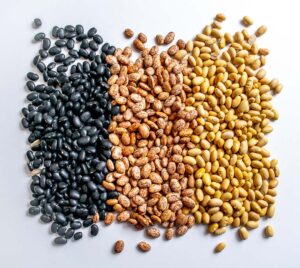 Three bean varieties black, pinto, peruano