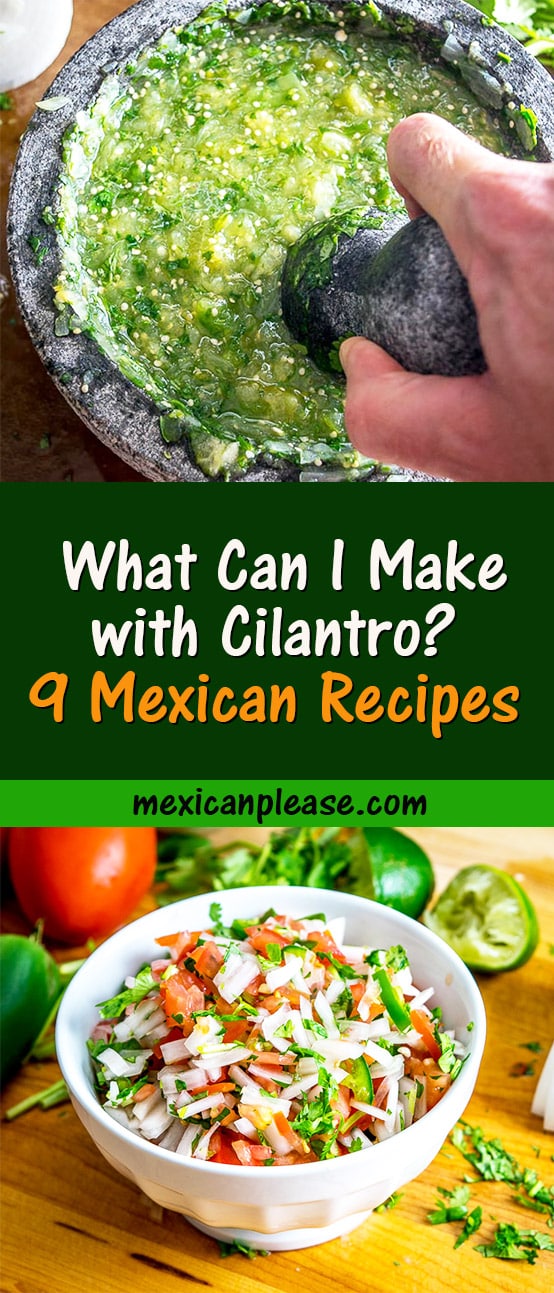 What else can I make with cilantro? 9 easy mexican recipes. 