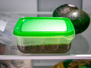 Tupperware container of refried beans in fridge