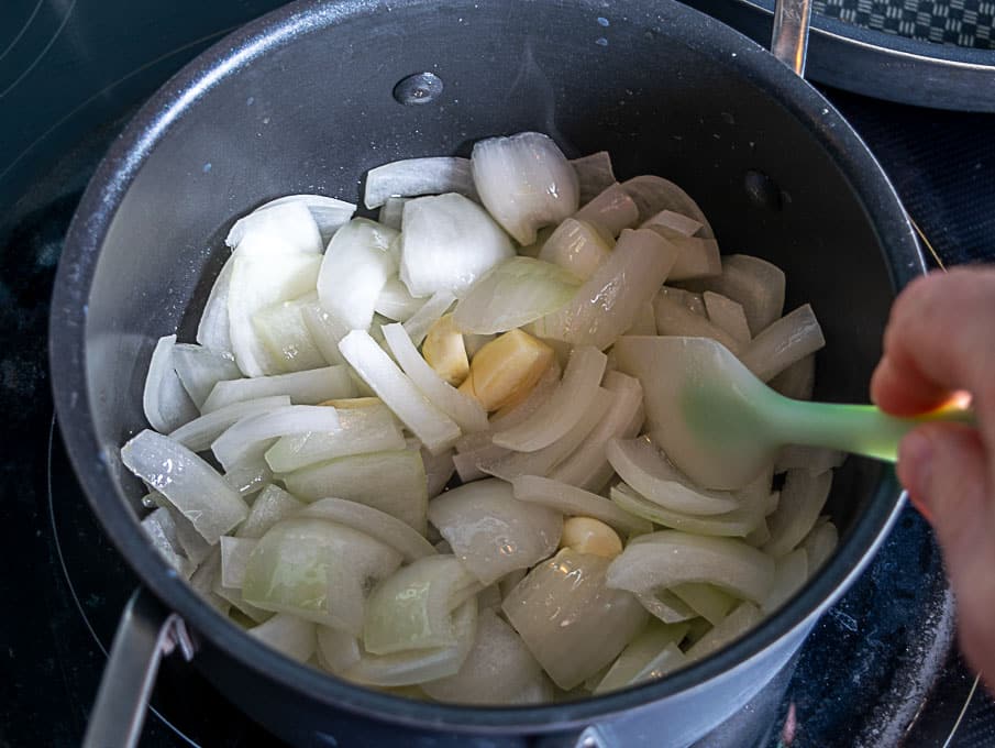 Cooking the onion and garlic for the Pinto Bean Soup