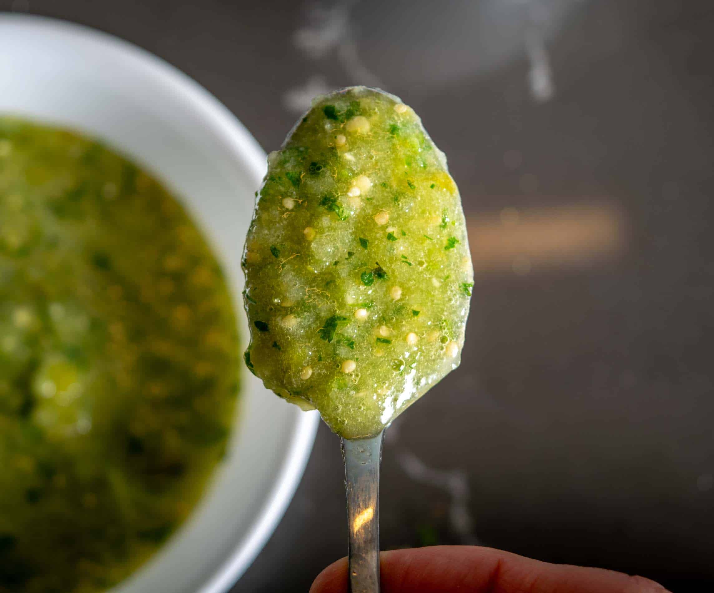 Chicken Burritos with Freshly Made Salsa Verde